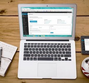 Little Star Beginner Program